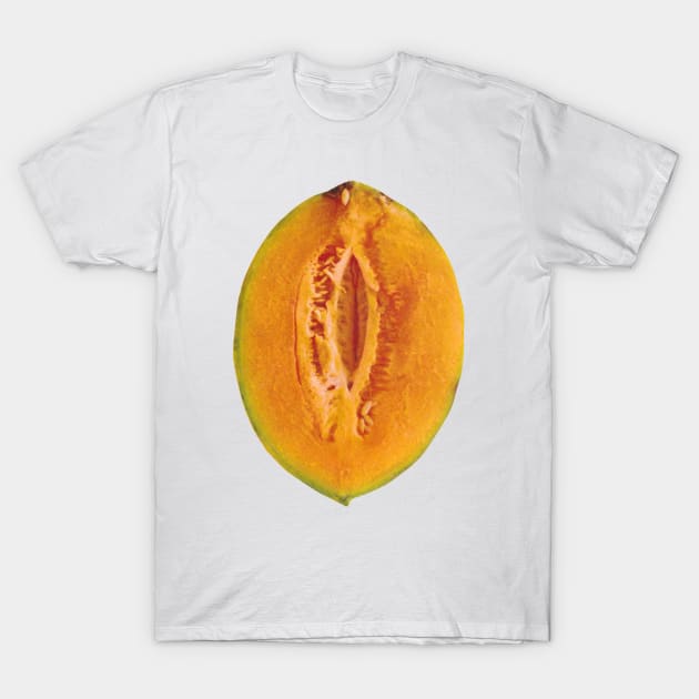 Yellow Melon Slice T-Shirt by Food Photography